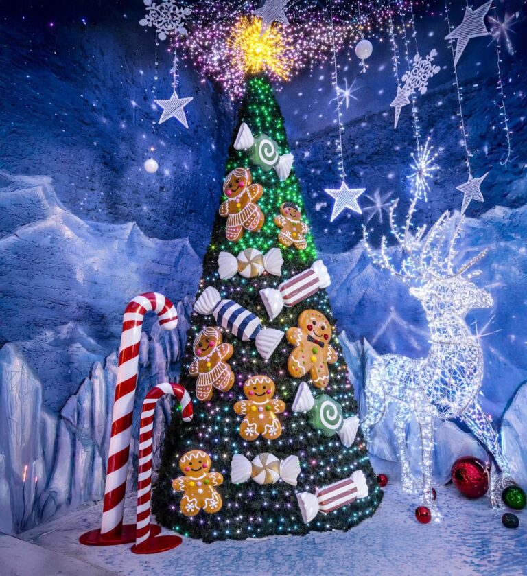 Presentación de set de dulces, jengibres y bastones sobre árbol de navidad gigante
